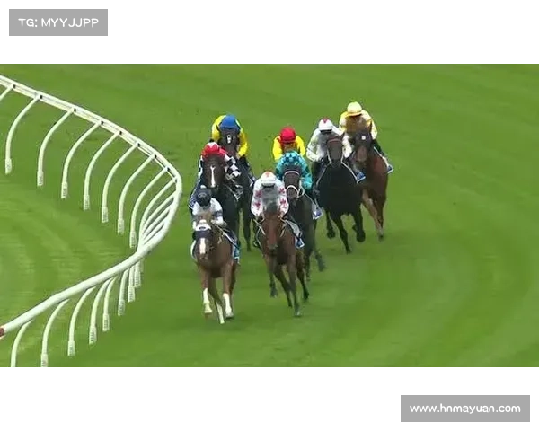 迪拜重要赛事全景扫描：奢华都市赛马世界杯与网球锦标赛巅峰对决