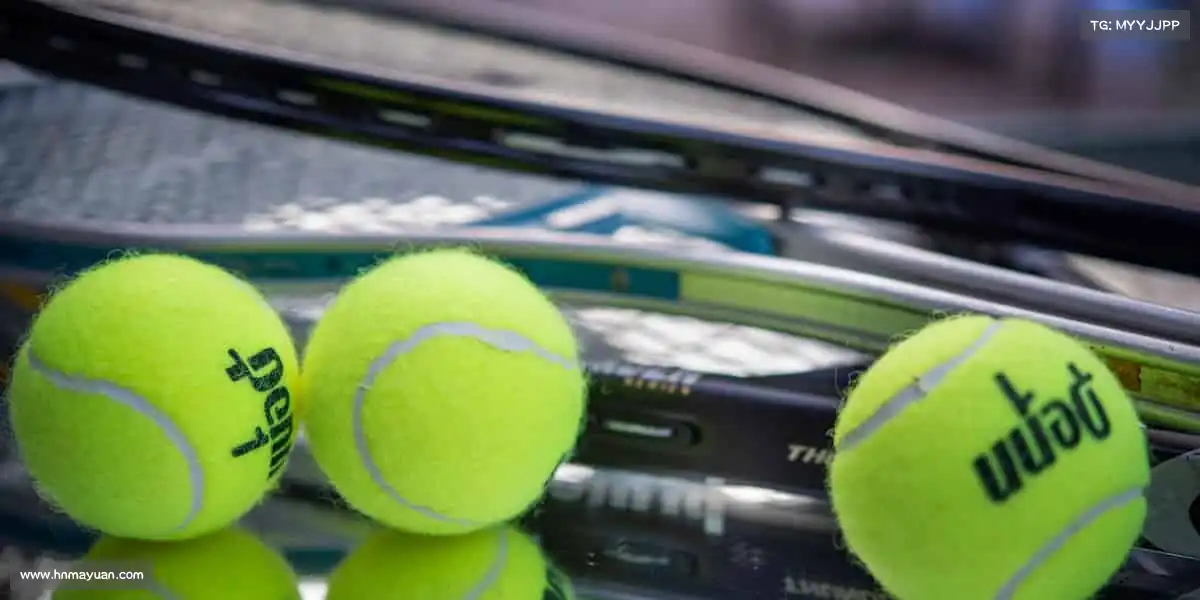 百乐博——每一次挥汗,都是对自己的超越!🏋️♀️